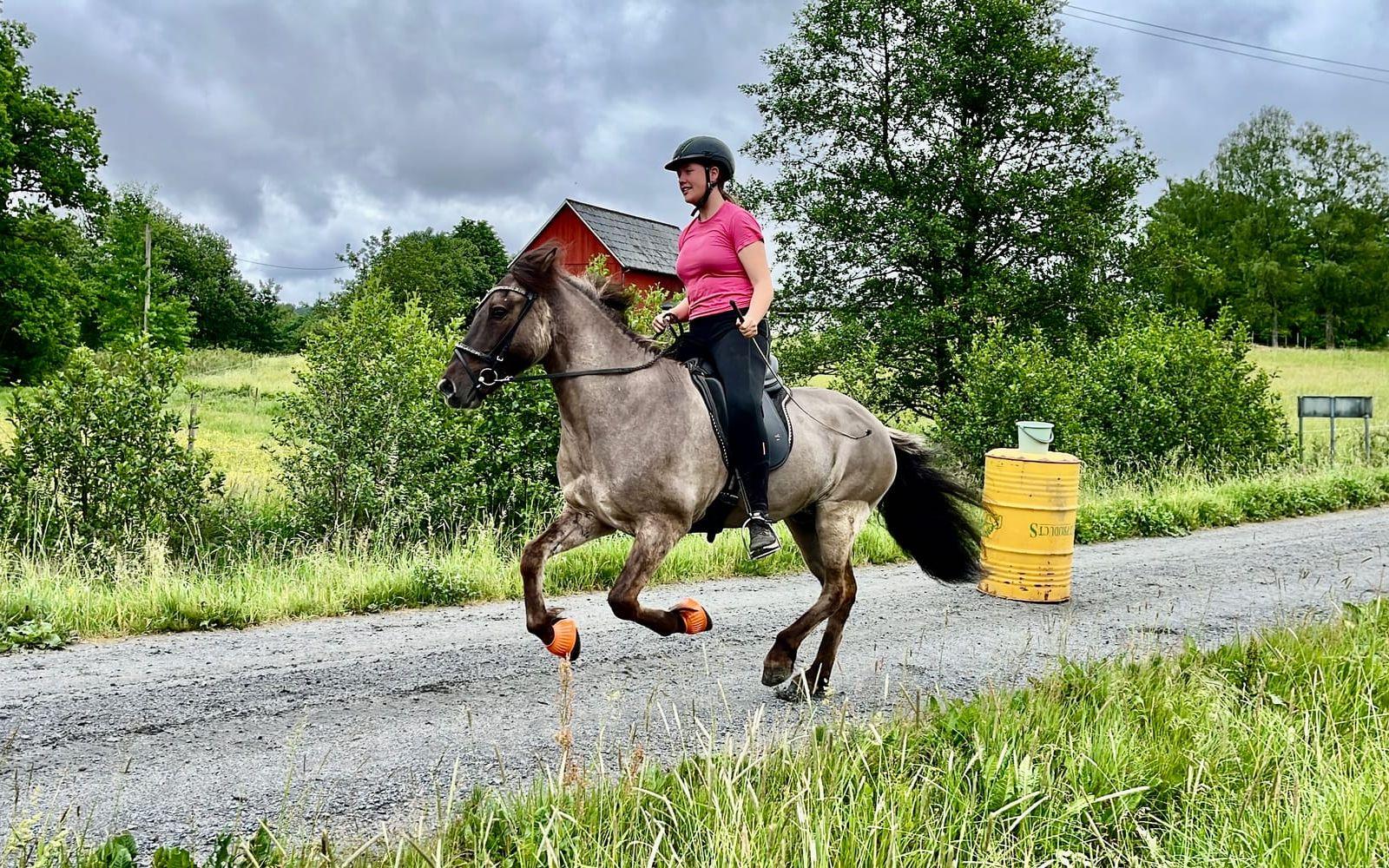 I början på juni tävlade 12 ungdomar och ekipage från Jór islandshästförening i kvalet till lag-SM i Dalarna i juli. Ungdomarna delades upp i två lag, Cirkus Jórius kom på första plats och Riddarna från Jór på andra plats i kvalet. 