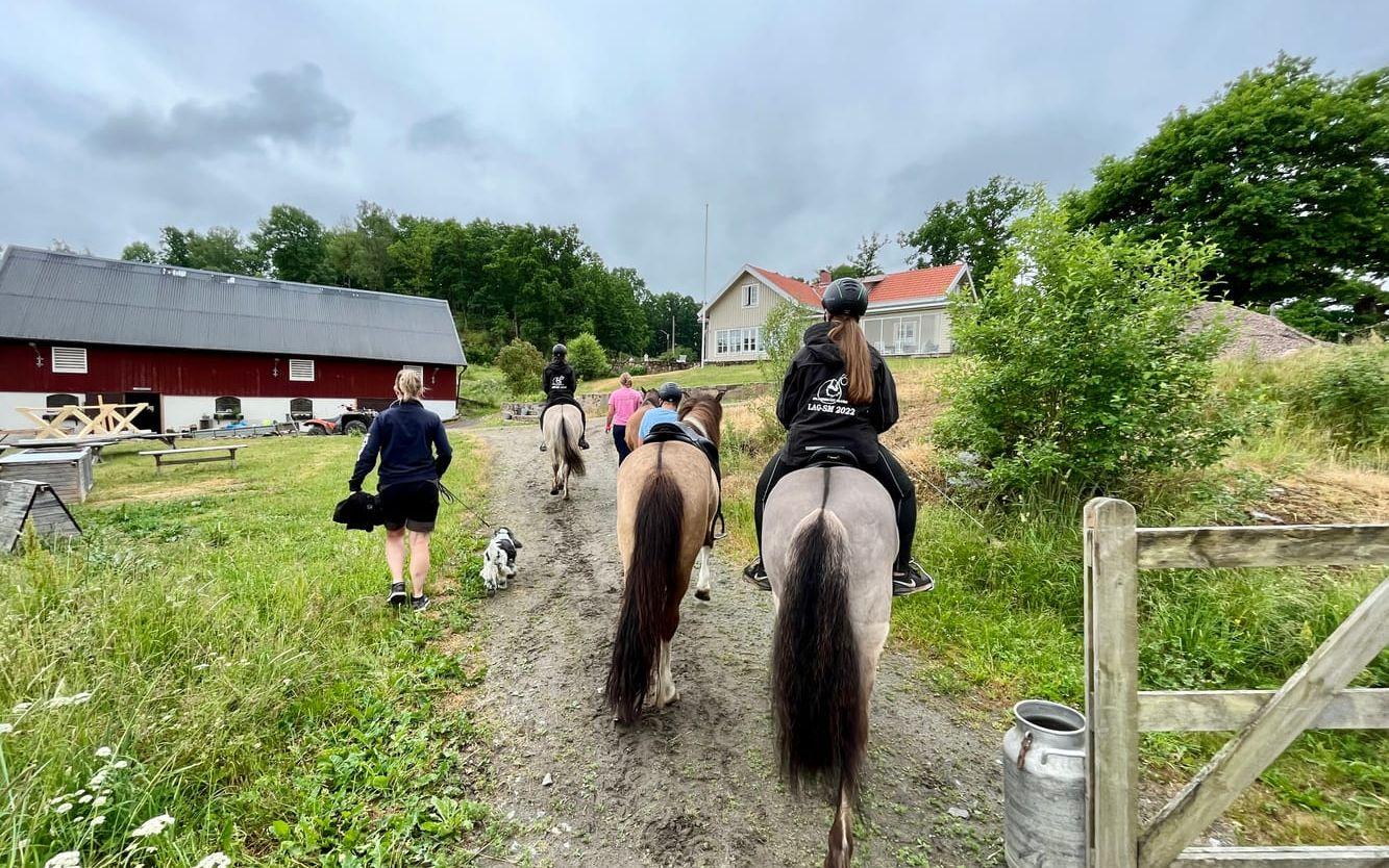 I början på juni tävlade 12 ungdomar och ekipage från Jór islandshästförening i kvalet till lag-SM i Dalarna i juli. Ungdomarna delades upp i två lag, Cirkus Jórius kom på första plats och Riddarna från Jór på andra plats i kvalet. 