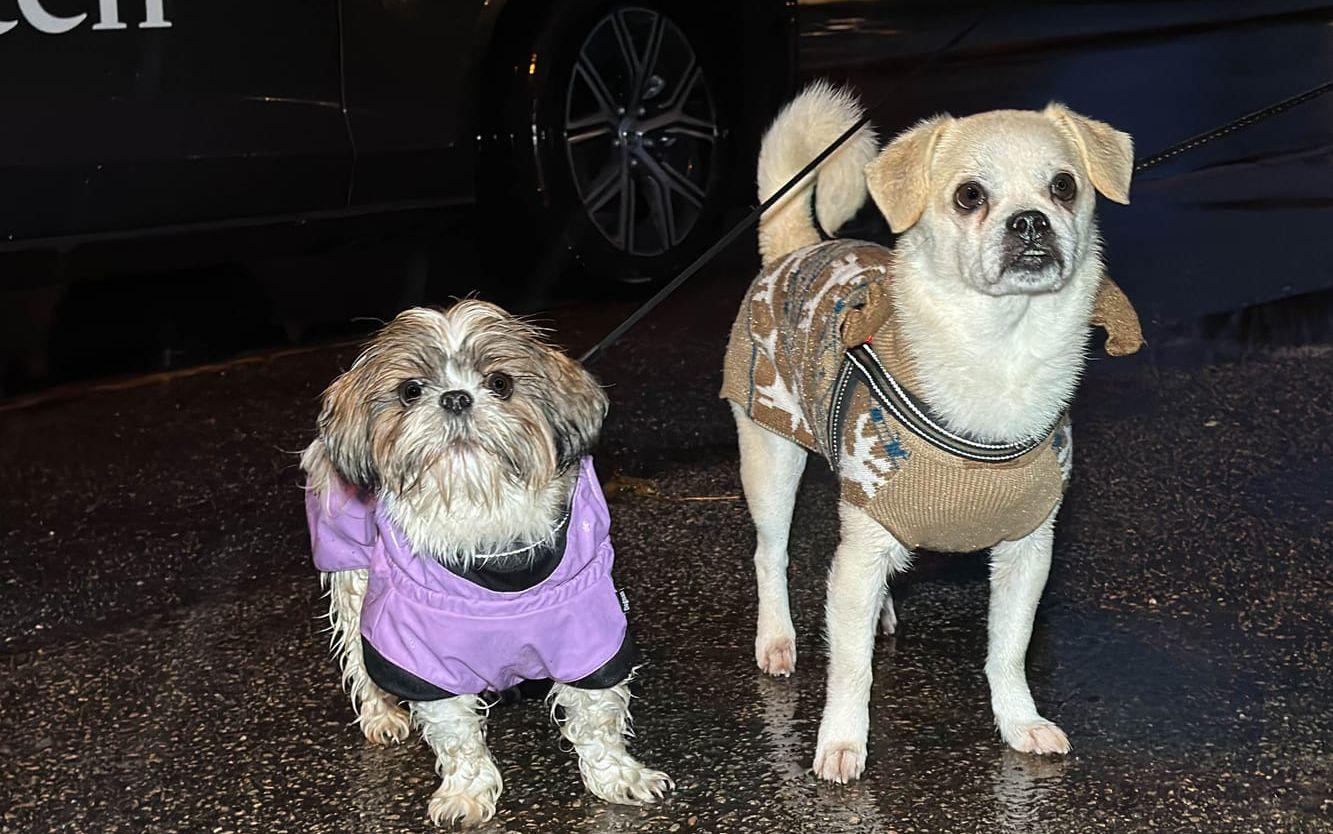 Lucka 2: Charlie och Lucie.