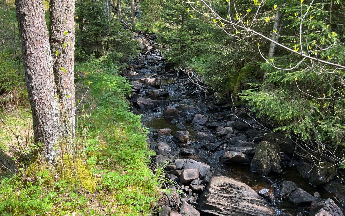 Ugnen ligger i ett naturskönt område nära en bäck