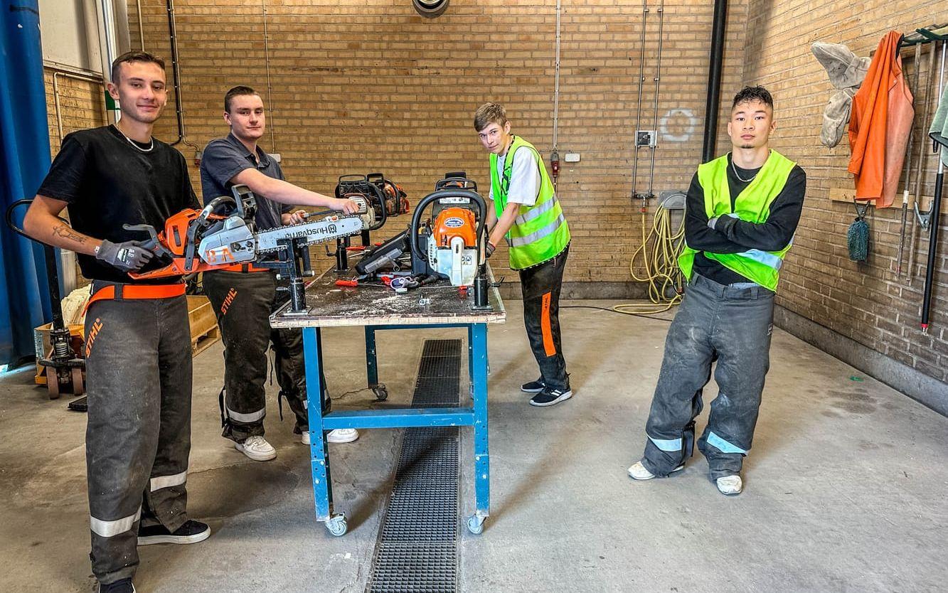 Elever på Bygg- och anläggningsprogrammet på Marks Gymnasieskola kör upp för motorsågskörkort. Från vänster i bild Erik Elmelid, Melvin Berggren, Albin Amundsjö och Davood Mazaheri.