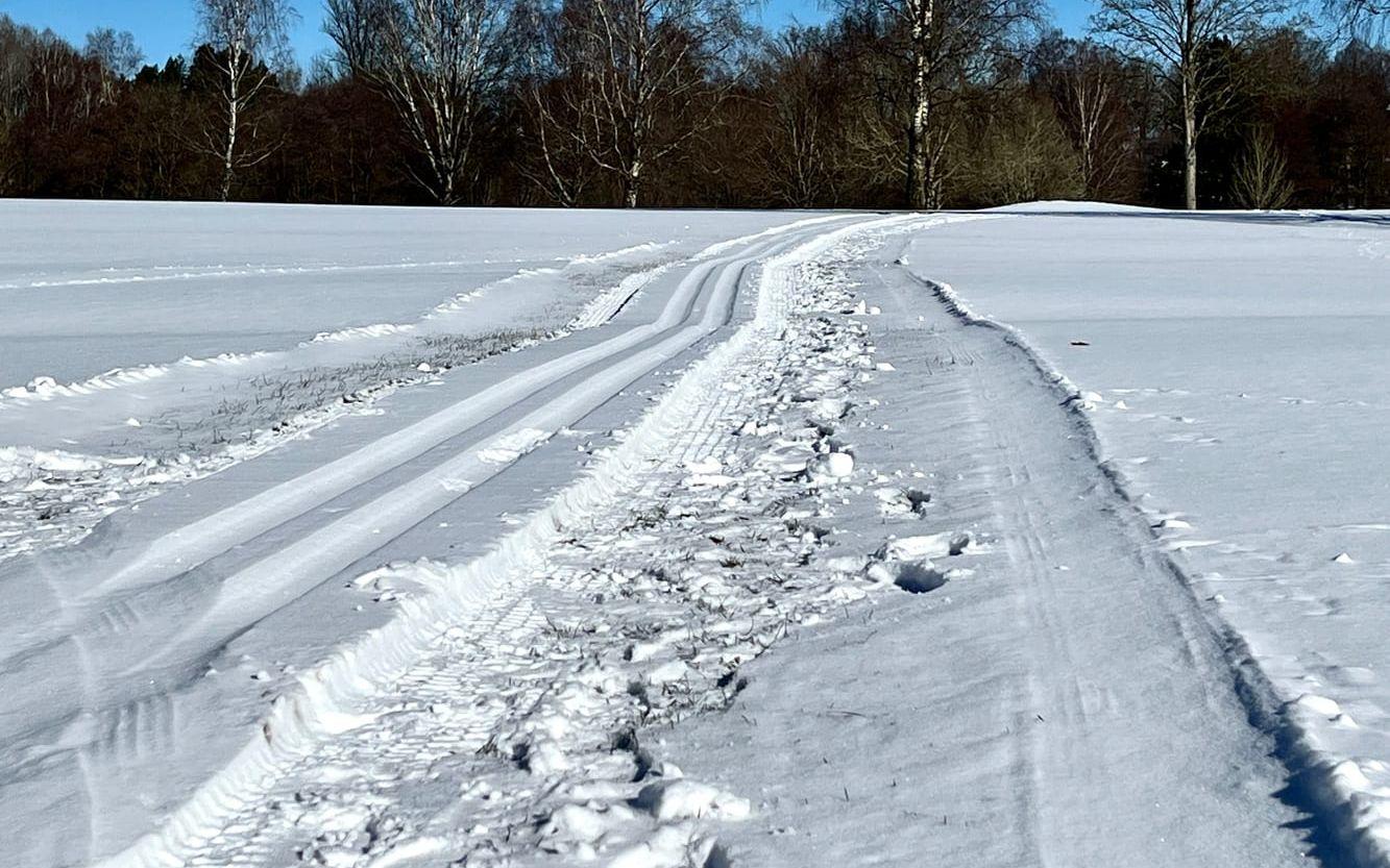 Skidspår i Kinna över golfbanan. 